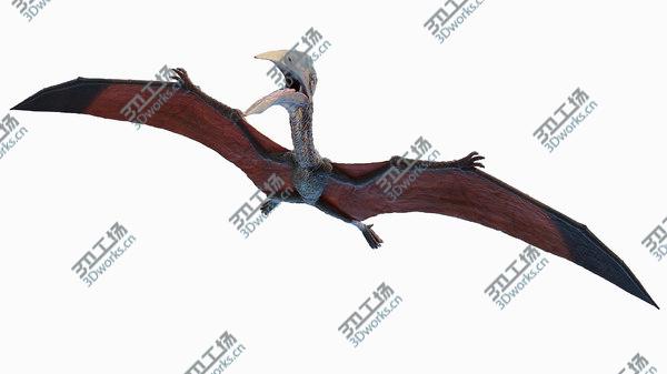 images/goods_img/20210312/Hatzegopteryx 3D model/2.jpg
